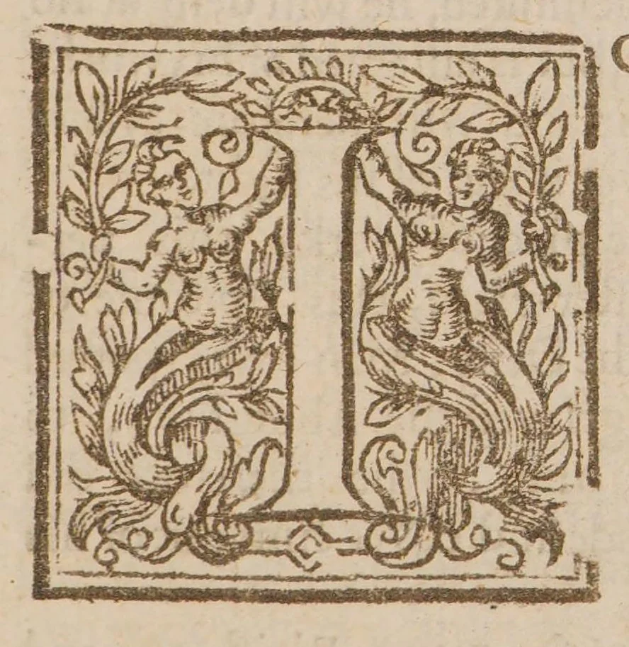 An illustration from A paradox. Prooving, that the inhabitants of the isle called Madagascar, or St. Laurence, (in temporall things) are the happiest people in the world. Whereunto is prefixed a ... description of that island: the ... climate, and condition of the inhabitants, and their speciall affection to the English ... With most probable arguments of a hopefull and fit plantation of a colony there, in respect of the fruitfulnesse of the soyle, the benignity of the ayre, and the relieving of our English ships, both to and from the East Indies, 1640, leaf 27