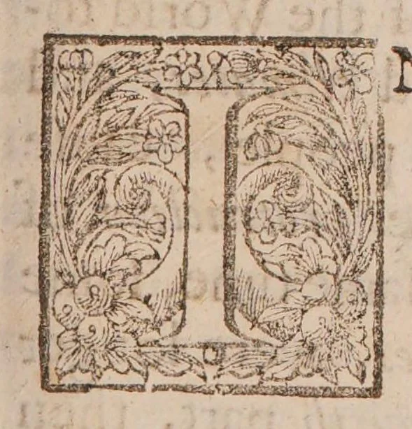 An illustration from Vita sana et longa. The preservation of health, and prolongation of life. Proposed and proved. In the due observance of remarkable precautions. And daily practicable rules, relating to body and mind, compendiously abstracted from the institutions and law of nature, 1670, leaf 19
