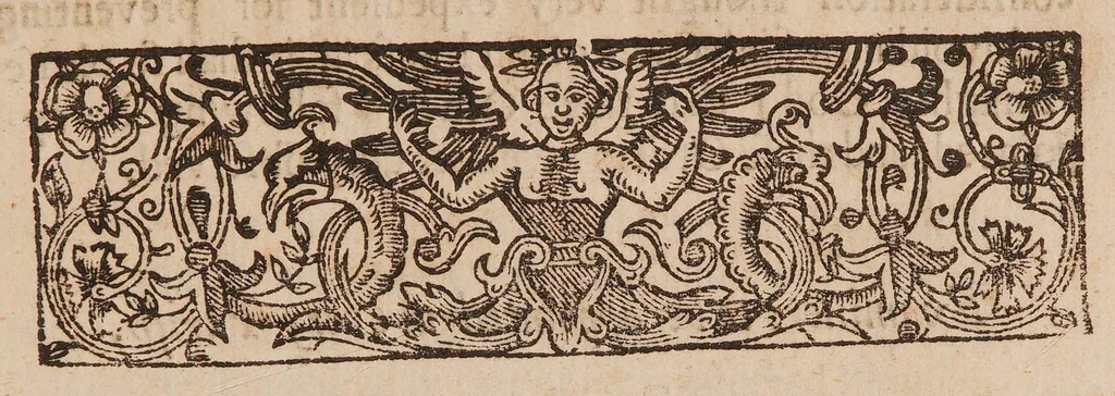 An illustration from Orders conceived and published by the Lord Maior and Aldermen of the City of London, concerning the infection of the plague, 1665, leaf 11