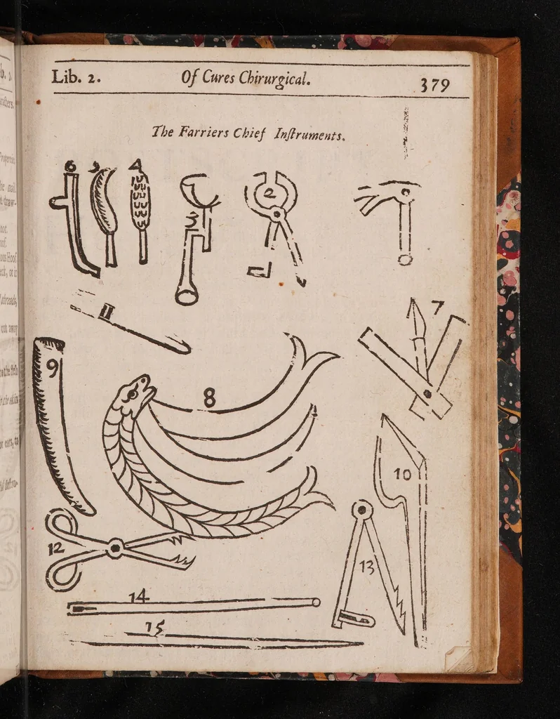 An illustration from Markham's master-piece revived. Contayning all knowledge belonging to the smith, farrier, or horse-leech, touching the curing of all diseases in horses. Drawn ... from approved experience, and the publick practice of the best horse-marshals in Christendom. Divided into two books. The I. containing cures physical; the II. all cures chirurgical: together with the nature, use and quality of every simple mentioned through the whole work, 1694, leaf 377