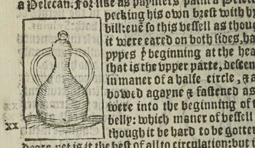 An illustration from A new booke of destillatyon of waters, called the Treasure of Euonymus, containing the wonderful hid secrets of nature, touching the most apt formes to prepare & distill medicines, for the conservation of helth: as quintessence, aurum potabile, hyppocras, aromaticall wynes, balmes, oyles, perfumes ... Whereunto are joyned the formes of sondry apt furnaces, and vessels ..., 1565, leaf 68