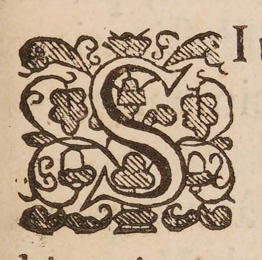 An illustration from Dissertatio epistolaris ad spectatissimum doctissimumq virum Gulielmum Cole, M.D. de observationibus nuperis circa curationem variolarum confluentium nec non de affectione hysterica, 1682, leaf 17