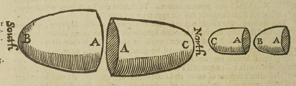 An illustration from Mosaicall philosophy: grounded upon the essentiall truth or eternal sapience, 1659, leaf 226