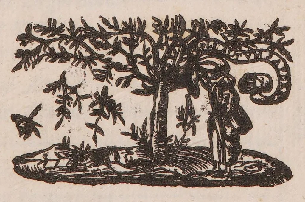 An illustration from Excellent compendium of musick, 1653, leaf 83