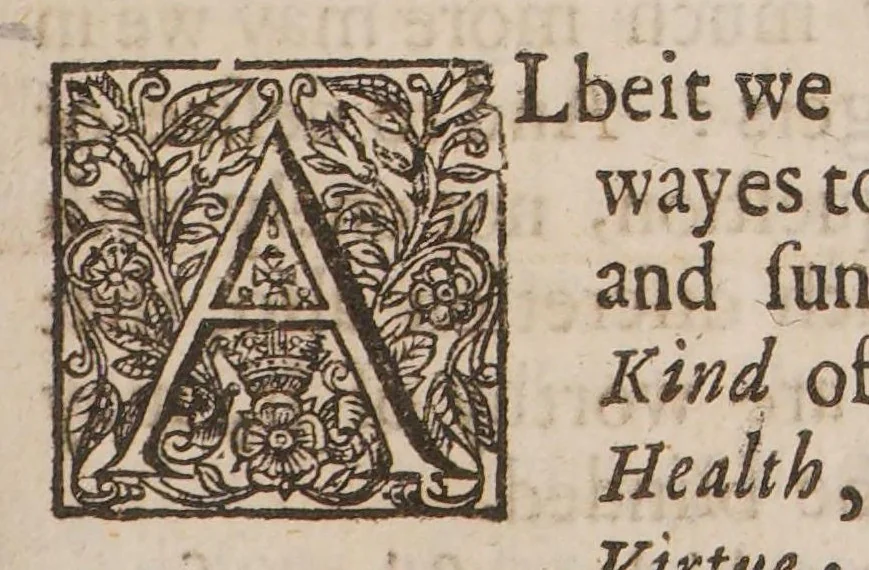 An illustration from The way to bliss. In three books, 1658, leaf 177