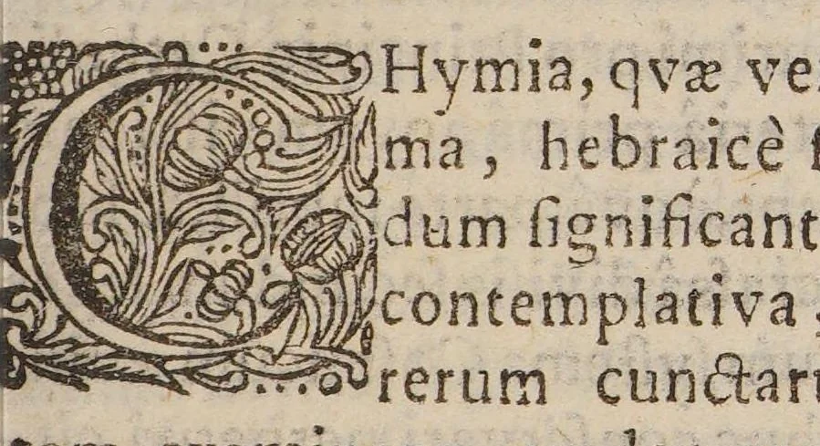An illustration from Medulla chymiae, variis experimentis aucta ..., 1685, leaf 21