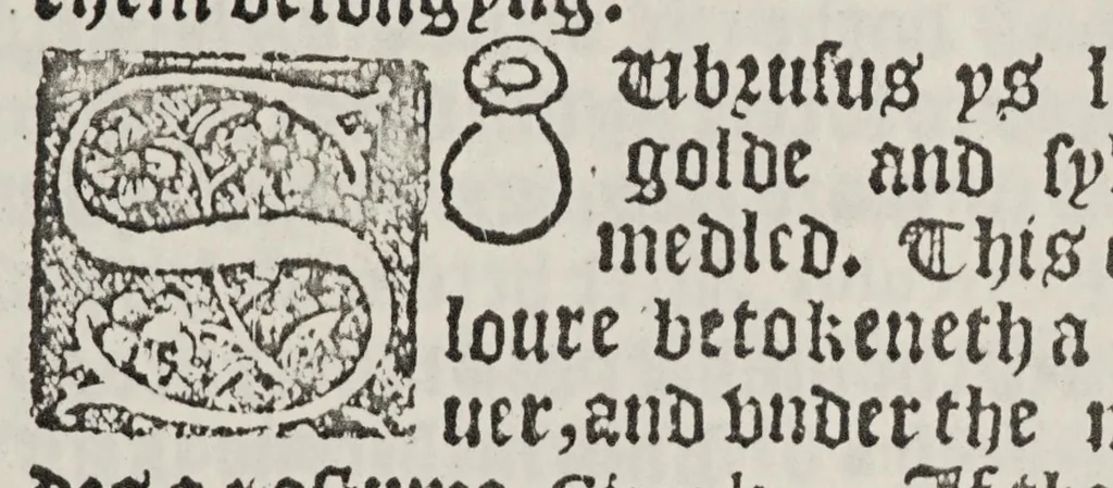 An illustration from Here begynneth the seynge of urynes and of all the coloures that urynes be of, wyth the medicynes annexed to every uryne, and every uryne his urynall muche profytable for every man to knowe, 1562, leaf 19