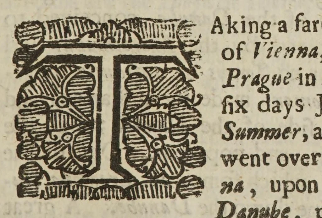 An illustration from An account of several travels through a great part of Germany: in four journeys. I. From Norwich to Colen. II. From Colen to Vienna, with a particular description of that imperial city. III. From Vienna to Hamburg. IV. From Colen to London. Wherein the mines, baths, and other curiosities of those parts are treated of ..., 1677, leaf 141