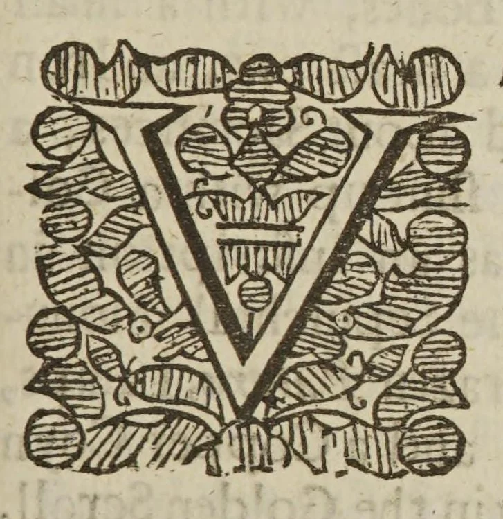 An illustration from An account of several travels through a great part of Germany: in four journeys. I. From Norwich to Colen. II. From Colen to Vienna, with a particular description of that imperial city. III. From Vienna to Hamburg. IV. From Colen to London. Wherein the mines, baths, and other curiosities of those parts are treated of ..., 1677, leaf 89