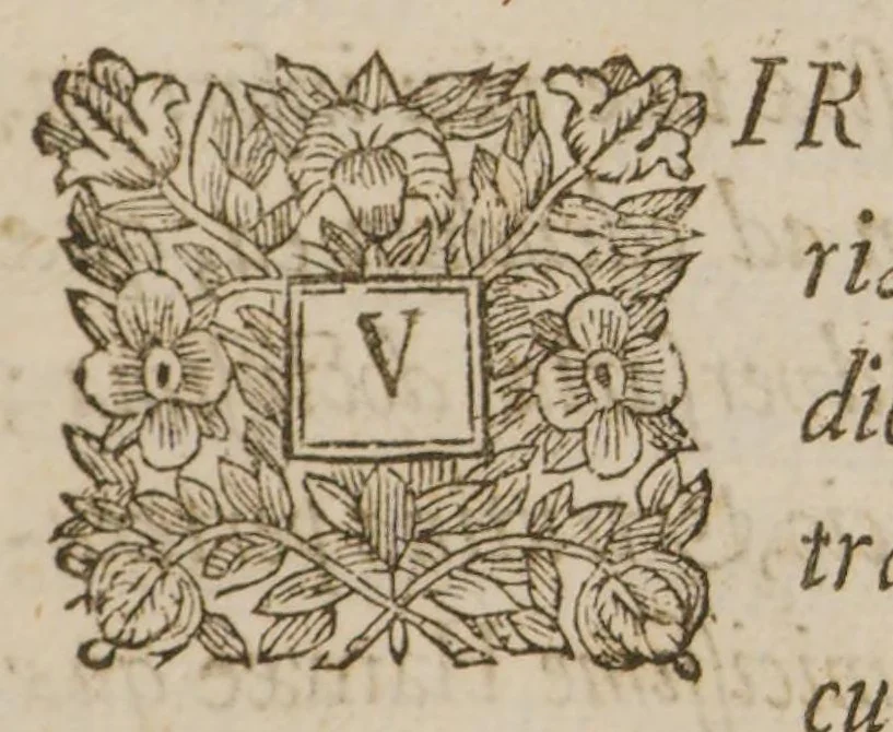 An illustration from Pinax rerum naturalium Britannicarum, continens vegetabilia, animalia, et fossilia, in hac insula reperta inchoatus, 1667, leaf 15