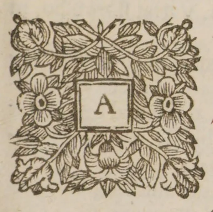 An illustration from Pinax rerum naturalium Britannicarum, continens vegetabilia, animalia, et fossilia, in hac insula reperta inchoatus, 1667, leaf 43