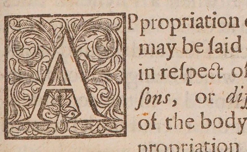 An illustration from The pharmacopoeian physician's repository. : Accommodated with elaborate medicinal arcana's. Appositely serving to the whole practice of physick. Exhibited as an exemplar, for imitation and incitation, to the industrious professors in this faculty., 1670, leaf 17