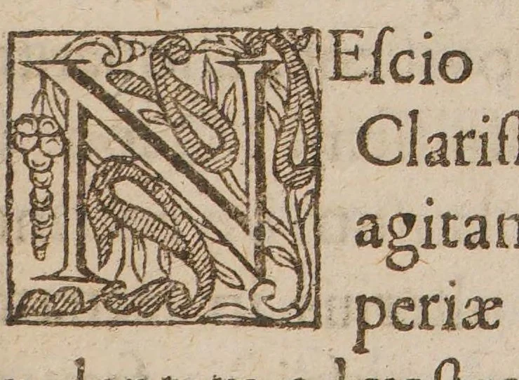 An illustration from Hymnus tabaci, 1626, leaf 73