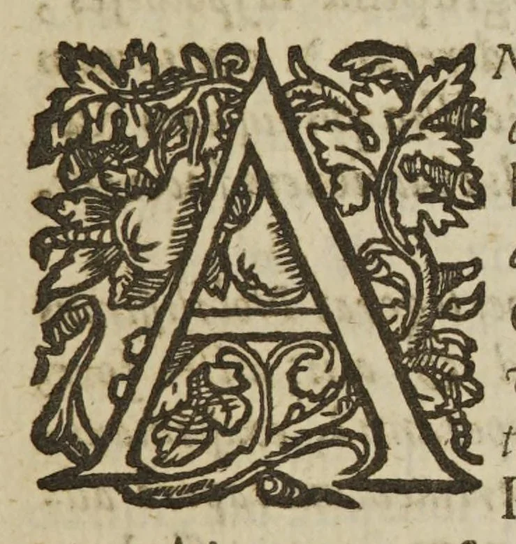 An illustration from Natural history of nutrition, life, and voluntary motion : containing all the new discoveries of anatomist's, and most probable opinions of physicians, concerning the oeconomie of human nature ; methodically delivered in exercitations physico-anatomical, 1659, leaf 23