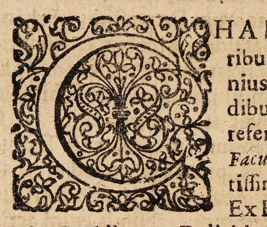 An illustration from Disputatio medica inauguralis de chamomilla, 1700, leaf 6