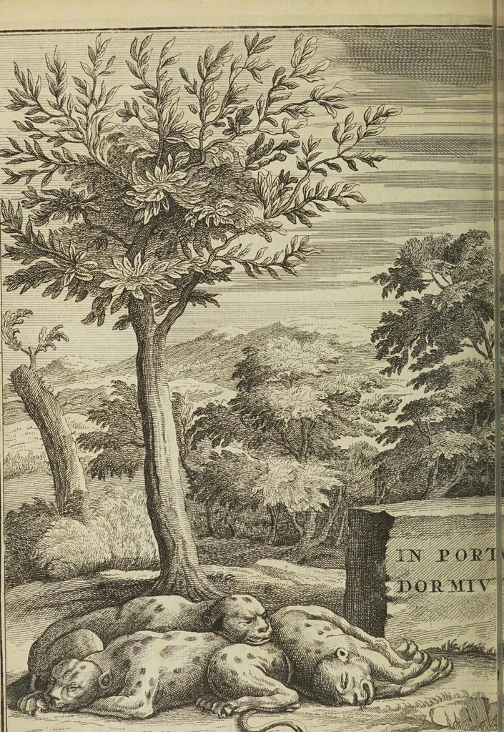 An illustration from Opera posthuma, in quibus excellentissimi authoris vita continetur, ac pleraque quae ab ipso priùs scripta aut inventa sunt confirmantur, & ab adversariorum objectionibus vindicantur. Quibus praefixa est ejusdem vita a seipso scripta, 1700, leaf 884