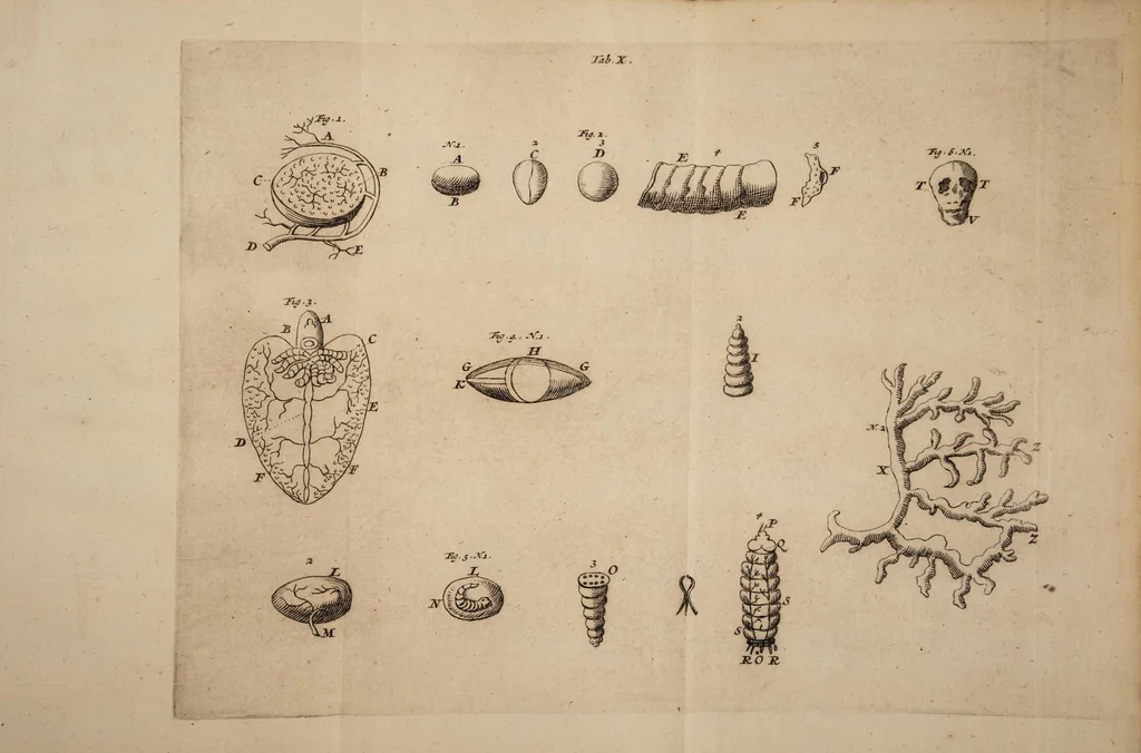 An illustration from Opera posthuma, in quibus excellentissimi authoris vita continetur, ac pleraque quae ab ipso priùs scripta aut inventa sunt confirmantur, & ab adversariorum objectionibus vindicantur. Quibus praefixa est ejusdem vita a seipso scripta, 1700, leaf 427