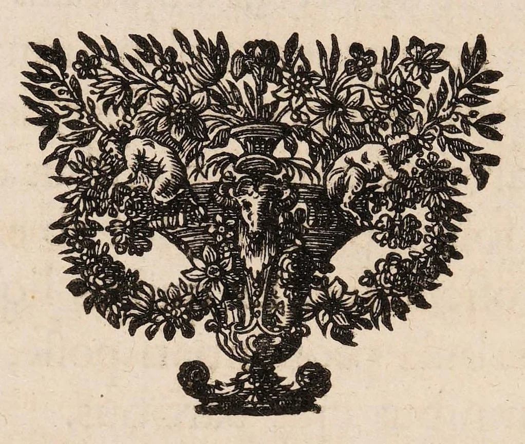 An illustration from Josephi Pitton Tournefort Institutiones rei herbariae, 1700, leaf 16