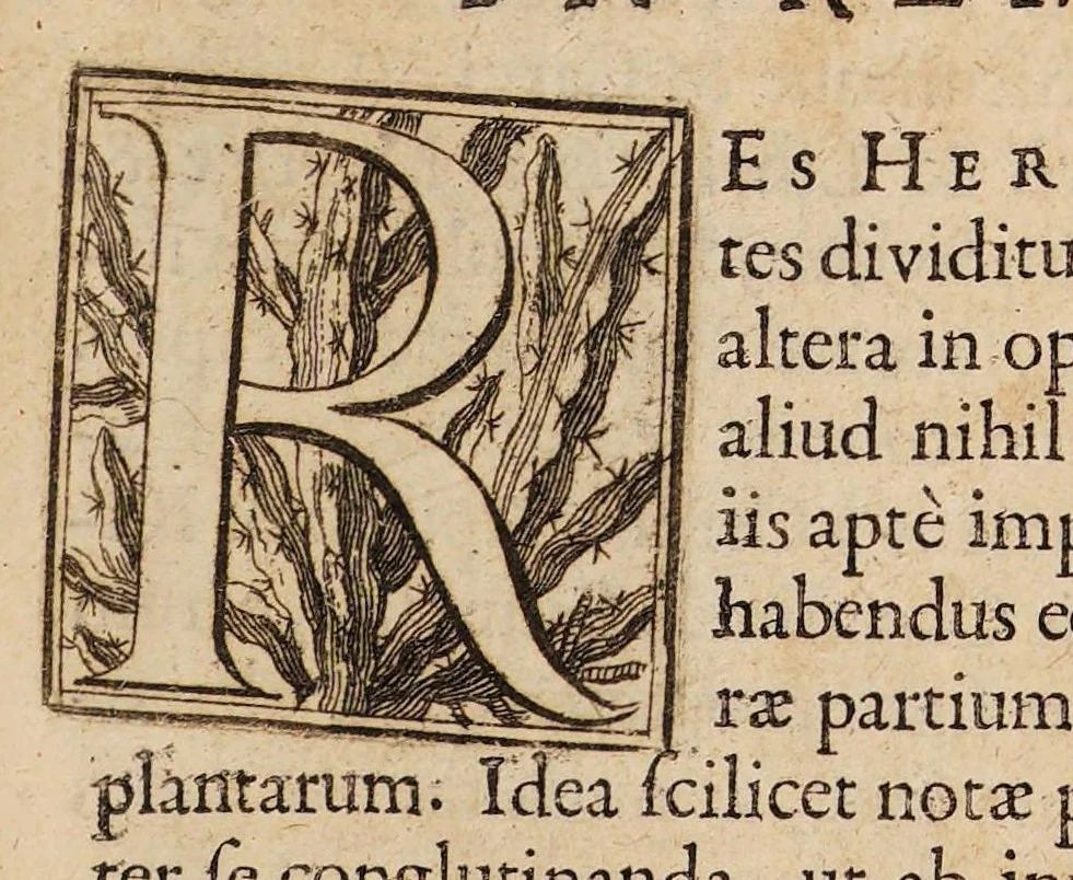 An illustration from Josephi Pitton Tournefort Institutiones rei herbariae, 1700, leaf 27