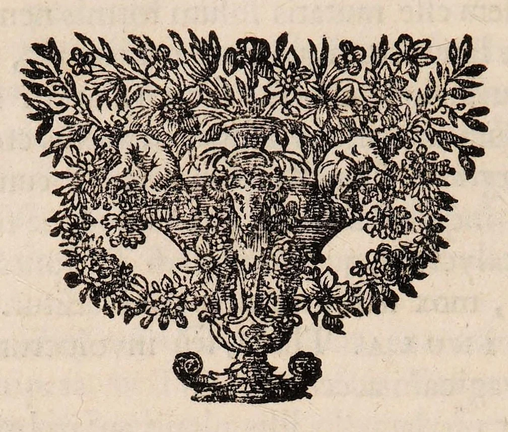 An illustration from Josephi Pitton Tournefort Institutiones rei herbariae, 1700, leaf 704