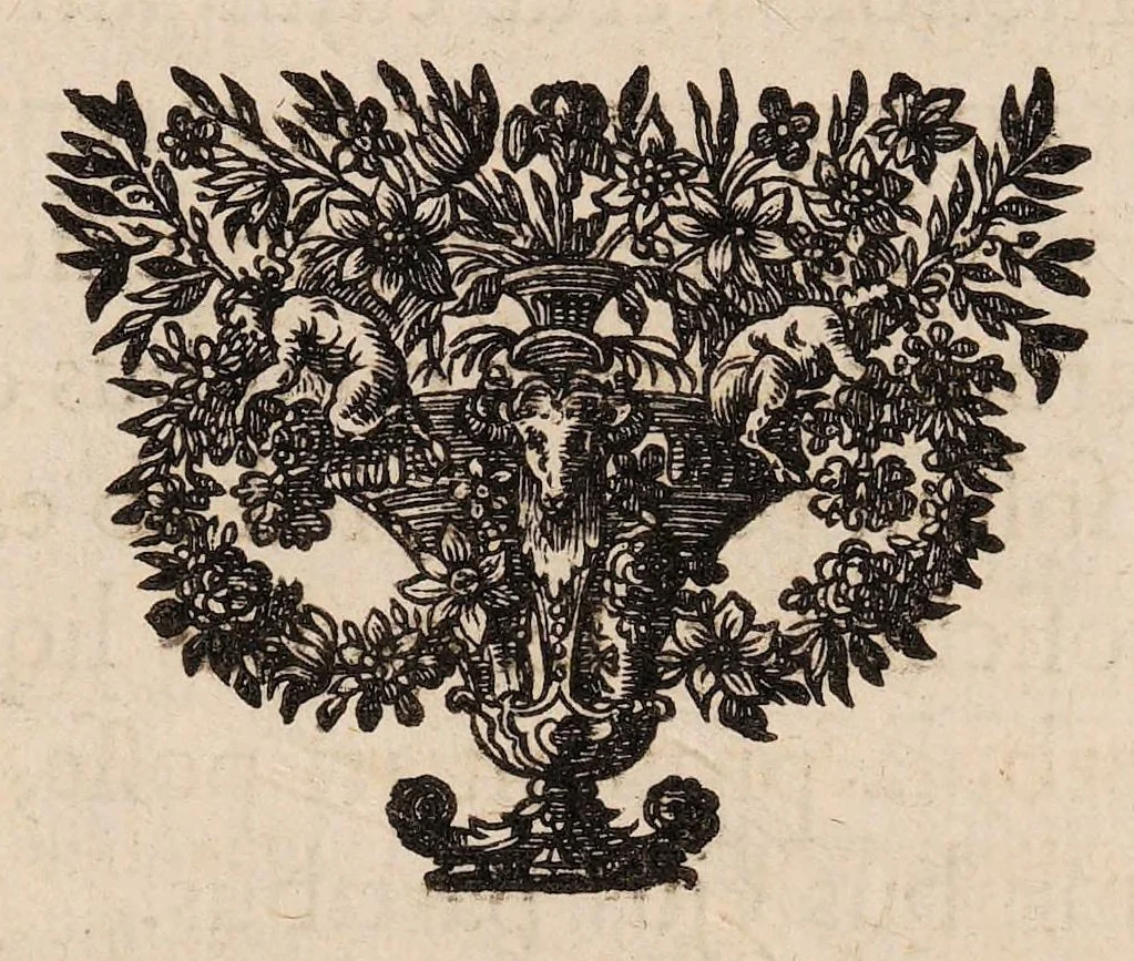 An illustration from Josephi Pitton Tournefort Institutiones rei herbariae, 1700, leaf 14