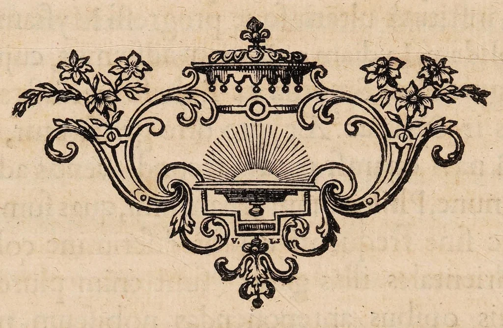 An illustration from Josephi Pitton Tournefort Institutiones rei herbariae, 1700, leaf 28