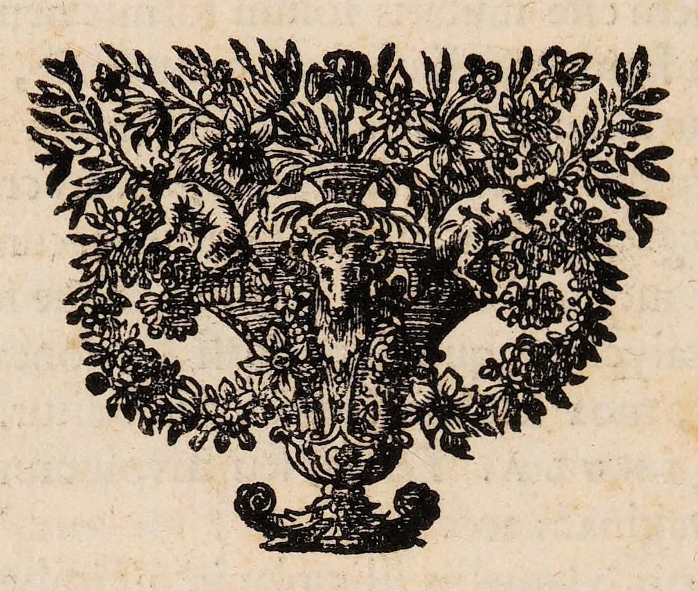An illustration from Josephi Pitton Tournefort Institutiones rei herbariae, 1700, leaf 768