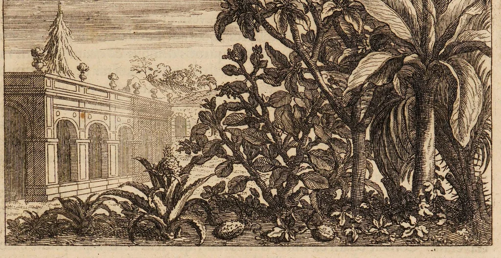 An illustration from Josephi Pitton Tournefort Institutiones rei herbariae, 1700, leaf 91