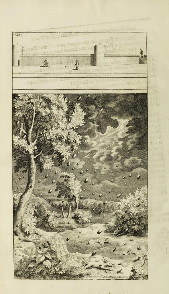 An illustration from The natural history of Lancashire, Cheshire, and the Peak, in Derbyshire: with an account of the British, Phoenician, Armenian, Gr[eek] and Rom[an] antiquities in those parts, 1700, leaf 212