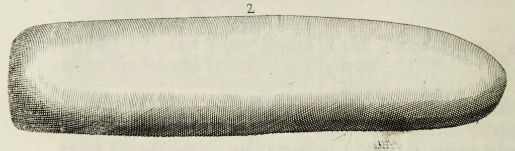 An illustration from The natural history of Lancashire, Cheshire, and the Peak, in Derbyshire: with an account of the British, Phoenician, Armenian, Gr[eek] and Rom[an] antiquities in those parts, 1700, leaf 236
