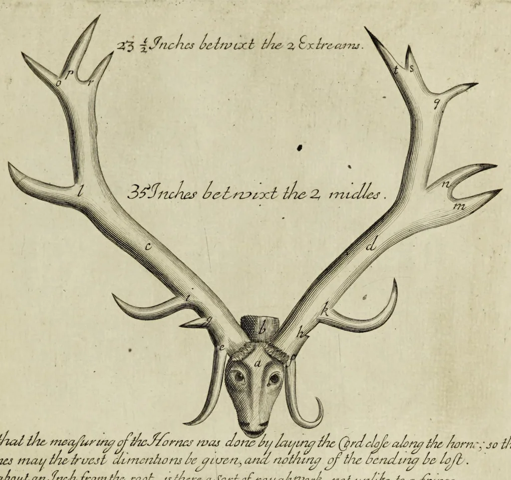 An illustration from The natural history of Lancashire, Cheshire, and the Peak, in Derbyshire: with an account of the British, Phoenician, Armenian, Gr[eek] and Rom[an] antiquities in those parts, 1700, leaf 241
