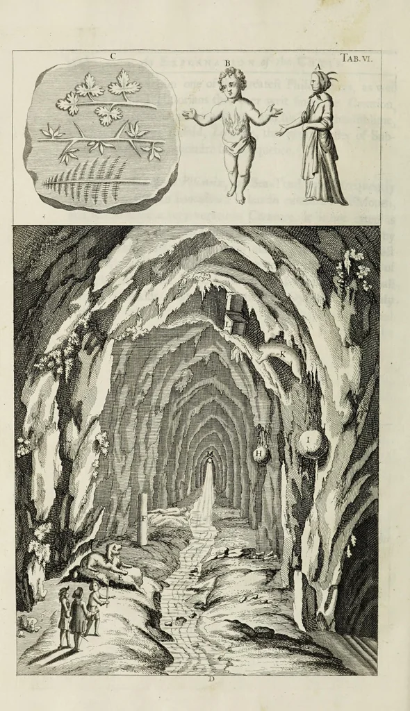 An illustration from The natural history of Lancashire, Cheshire, and the Peak, in Derbyshire: with an account of the British, Phoenician, Armenian, Gr[eek] and Rom[an] antiquities in those parts, 1700, leaf 248