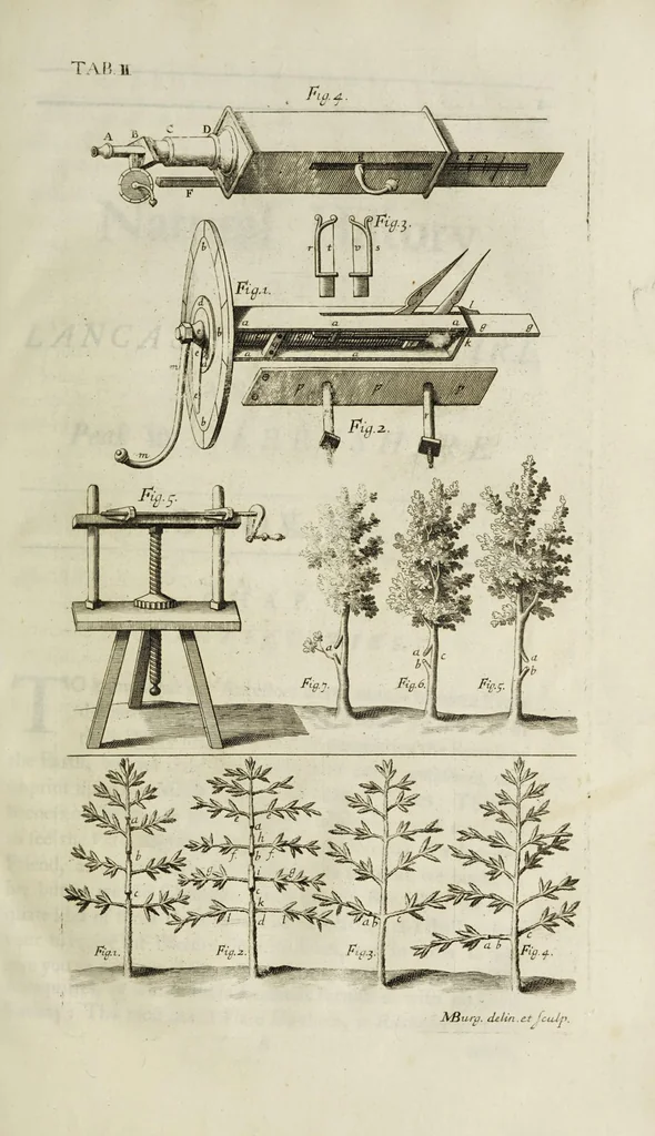 An illustration from The natural history of Lancashire, Cheshire, and the Peak, in Derbyshire: with an account of the British, Phoenician, Armenian, Gr[eek] and Rom[an] antiquities in those parts, 1700, leaf 365