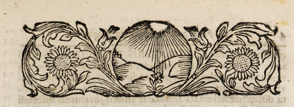 An illustration from De palingenesia, sive resuscitatione artificiali plantarum, hominum et animalium e suis cineribus liber singularis, 1717, leaf 59