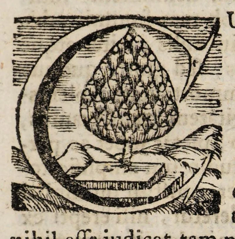 An illustration from De palingenesia, sive resuscitatione artificiali plantarum, hominum et animalium e suis cineribus liber singularis, 1717, leaf 59