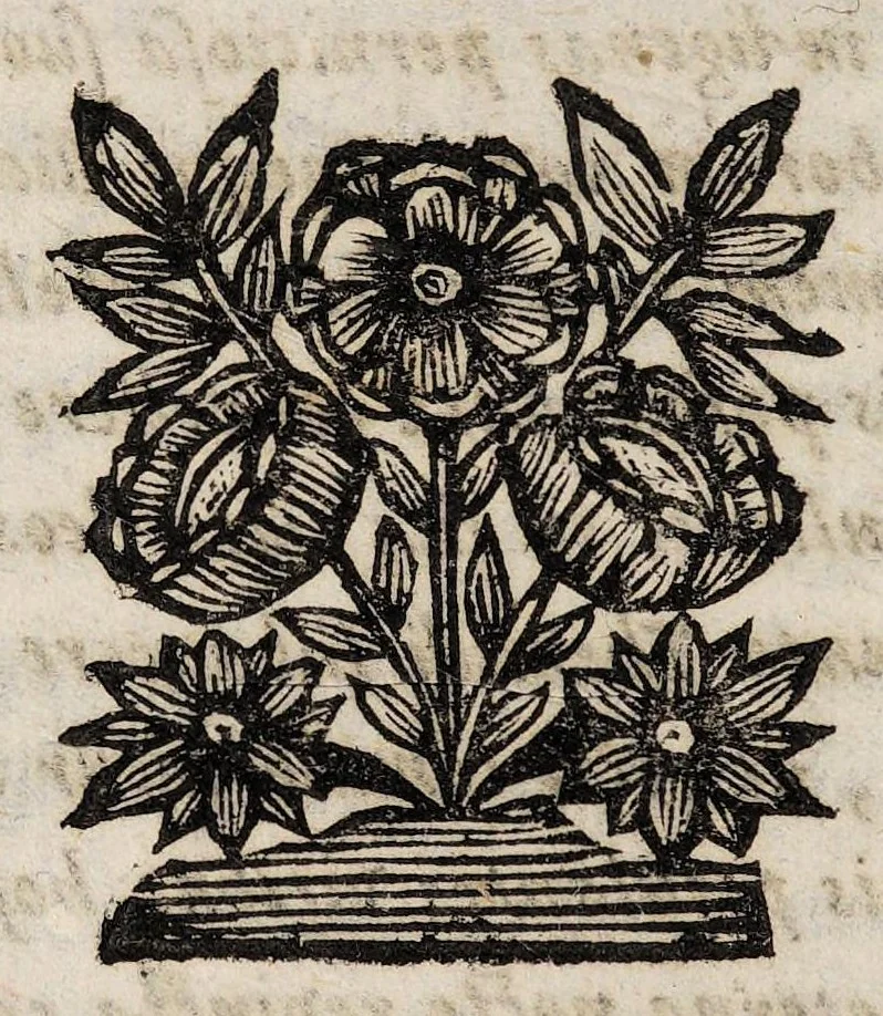 An illustration from De palingenesia, sive resuscitatione artificiali plantarum, hominum et animalium e suis cineribus liber singularis, 1717, leaf 94