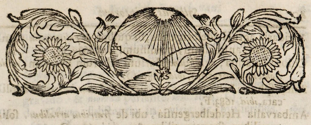 An illustration from De palingenesia, sive resuscitatione artificiali plantarum, hominum et animalium e suis cineribus liber singularis, 1717, leaf 95