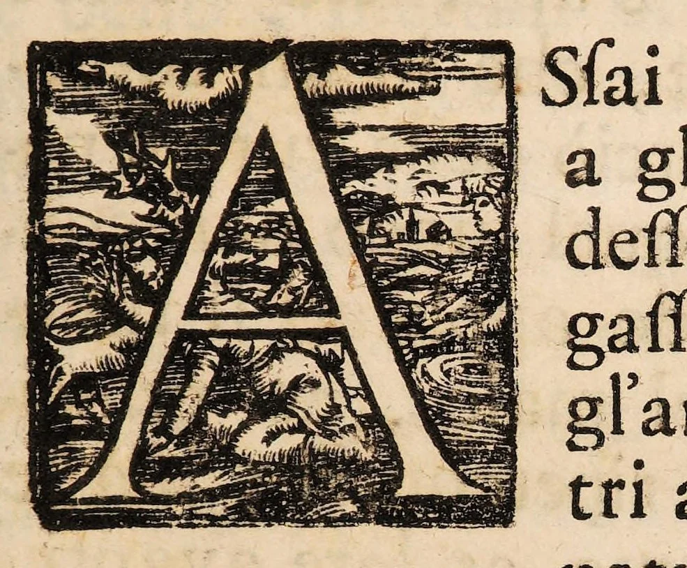 An illustration from L'arte di ben conoscere, e distinguere le qualità de' cavalli, d'introdurre, e conservare una razza nobile, e di risanare il cavallo dà mali, à quali soggiace ..., 1700, leaf 207