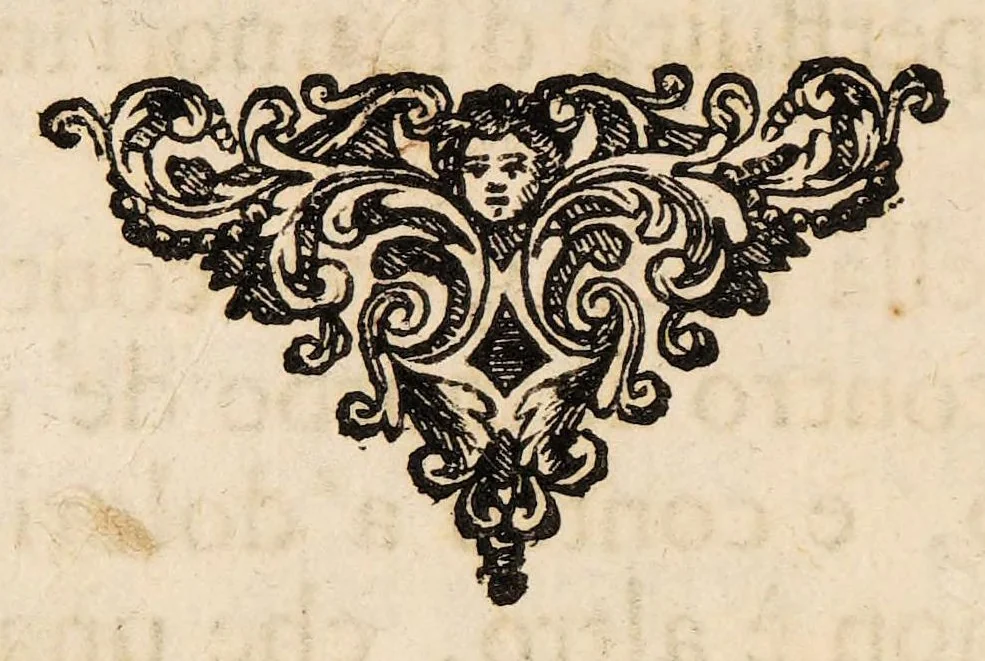 An illustration from L'arte di ben conoscere, e distinguere le qualità de' cavalli, d'introdurre, e conservare una razza nobile, e di risanare il cavallo dà mali, à quali soggiace ..., 1700, leaf 92