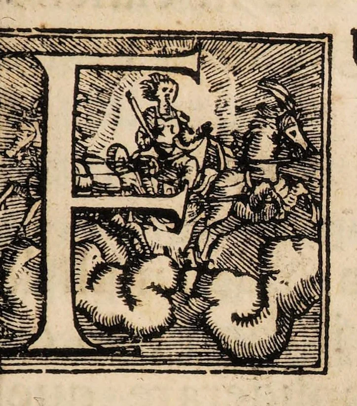 An illustration from L'arte di ben conoscere, e distinguere le qualità de' cavalli, d'introdurre, e conservare una razza nobile, e di risanare il cavallo dà mali, à quali soggiace ..., 1700, leaf 95