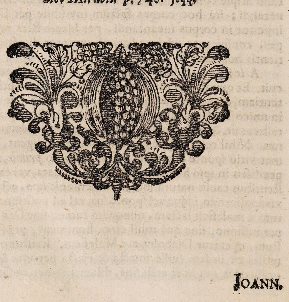 An illustration from Tractatus physico-medicus de incantamentis, sexaginta casus ... complectens ... Cui ... accesserunt, varia huc spectantia, 1715, leaf 212