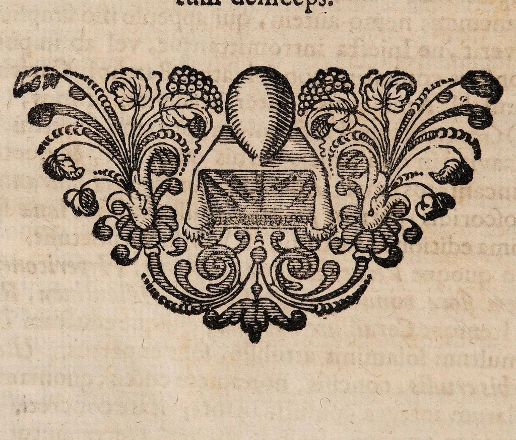 An illustration from Tractatus physico-medicus de incantamentis, sexaginta casus ... complectens ... Cui ... accesserunt, varia huc spectantia, 1715, leaf 238