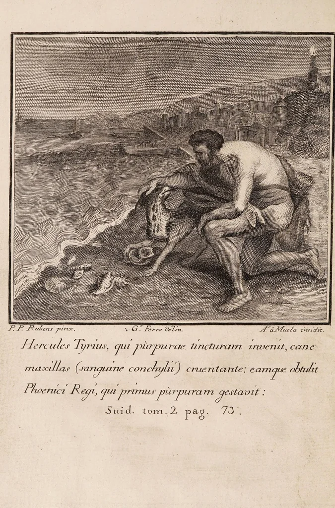 An illustration from Memorias sobre la púrpura de los antiguos, restaurada en España ; que de orden de la Real Junta General de Comericio, y Moneda, se dan al público ... en que se trata de su hallazgo, antiguedad, progresos, estimacion, decadencia y olvido; y del modo como puede restablecerse y aprovecharse en las costas de la Peninsula y demas dominios de S.M. por medio de las varias conchas, granos, y gusanos de mar, 1779, leaf 10