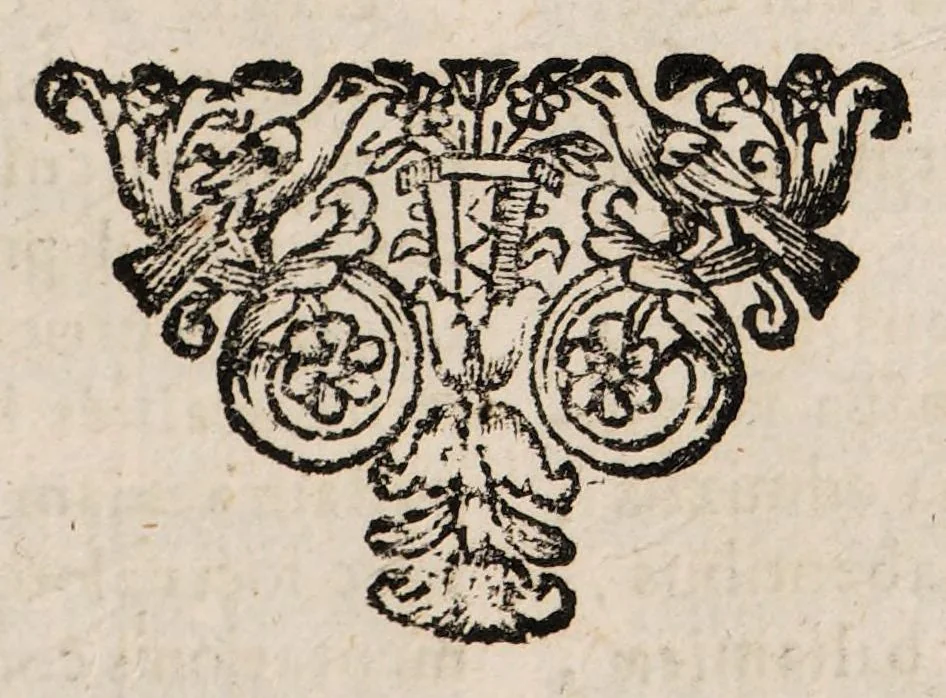 An illustration from Enchyridium practicum medicum seu ad manus libellus; atque appendix secunda ad libellum de conservanda valetudine. In quo domestica, & usitatoria auxilia recentiorum. Pro universis morbis curandis exarantur. Sex particulis ... dissectum ..., 1700, leaf 139