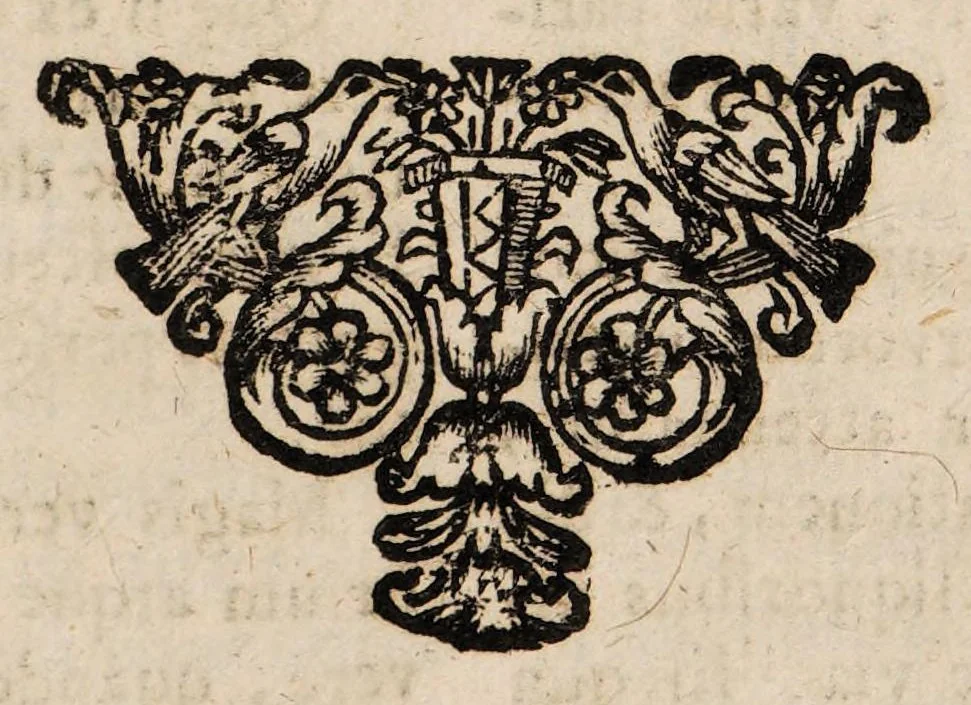 An illustration from Enchyridium practicum medicum seu ad manus libellus; atque appendix secunda ad libellum de conservanda valetudine. In quo domestica, & usitatoria auxilia recentiorum. Pro universis morbis curandis exarantur. Sex particulis ... dissectum ..., 1700, leaf 227