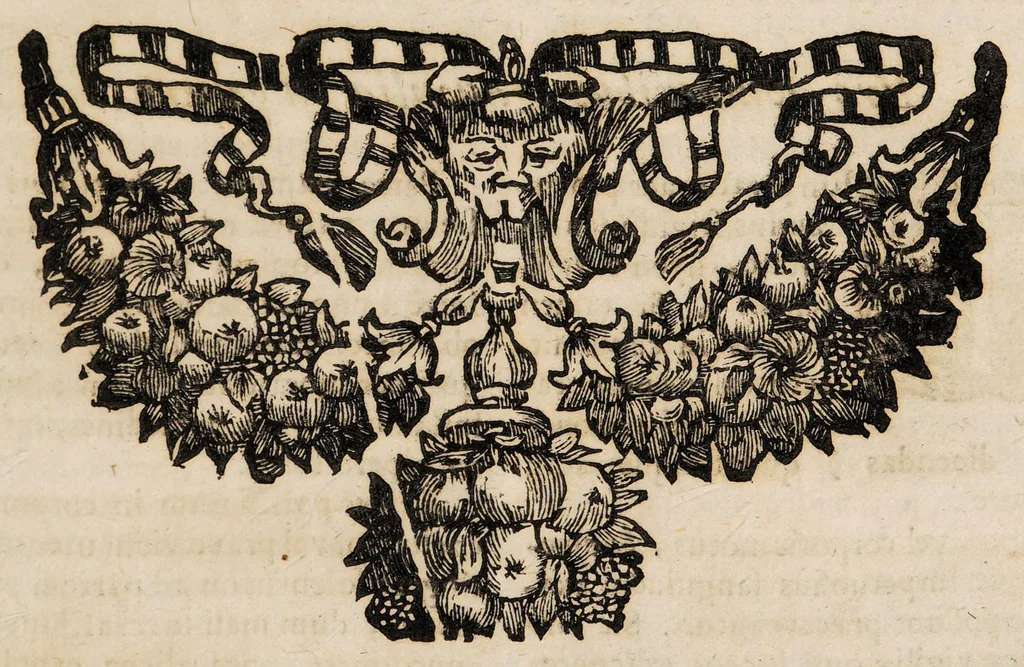 An illustration from Enchyridium practicum medicum seu ad manus libellus; atque appendix secunda ad libellum de conservanda valetudine. In quo domestica, & usitatoria auxilia recentiorum. Pro universis morbis curandis exarantur. Sex particulis ... dissectum ..., 1700, leaf 275