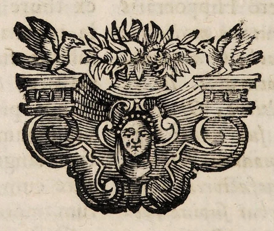 An illustration from Enchyridium practicum medicum seu ad manus libellus; atque appendix secunda ad libellum de conservanda valetudine. In quo domestica, & usitatoria auxilia recentiorum. Pro universis morbis curandis exarantur. Sex particulis ... dissectum ..., 1700, leaf 38