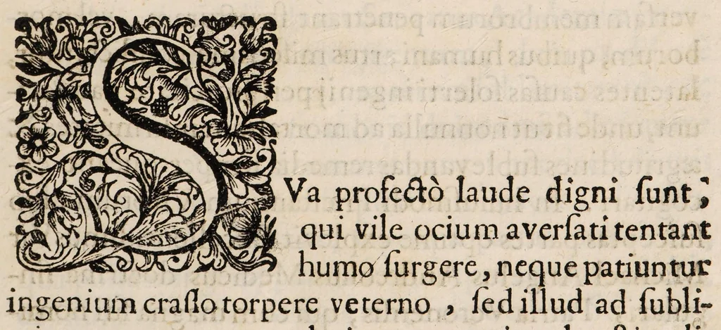 An illustration from Enchyridium practicum medicum seu ad manus libellus; atque appendix secunda ad libellum de conservanda valetudine. In quo domestica, & usitatoria auxilia recentiorum. Pro universis morbis curandis exarantur. Sex particulis ... dissectum ..., 1700, leaf 7