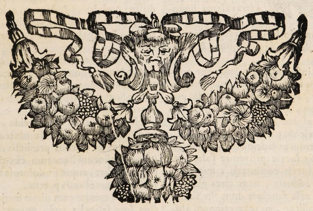 An illustration from Enchyridium practicum medicum seu ad manus libellus; atque appendix secunda ad libellum de conservanda valetudine. In quo domestica, & usitatoria auxilia recentiorum. Pro universis morbis curandis exarantur. Sex particulis ... dissectum ..., 1700, leaf 99