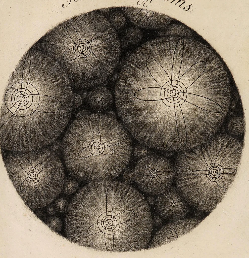 An illustration from A dissertation on comets, extracted from the writings of the most eminent modern astronomers and philosophers. In a letter to a reverend professor. To which is prefixed the theory of a comet, 1700, leaf 66